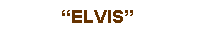 Text Box: “ELVIS”
